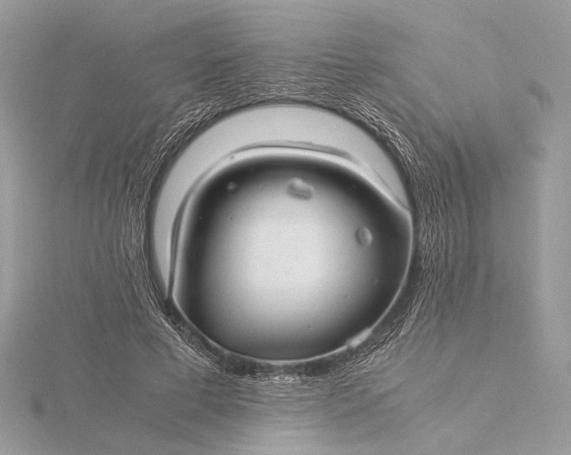 X0000116000593200912031511