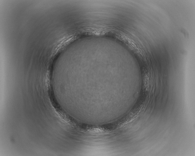 X0000116000594200912031511