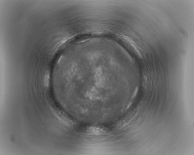 X0000116000596200912031511