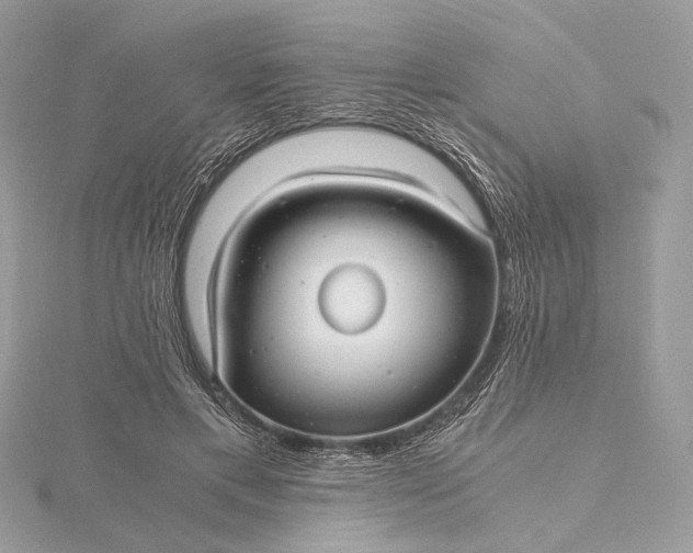 X0000116000597200912031511