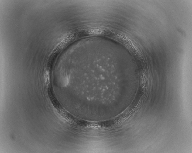 X0000116000598200912031511