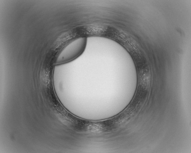 X0000116000599200912031511