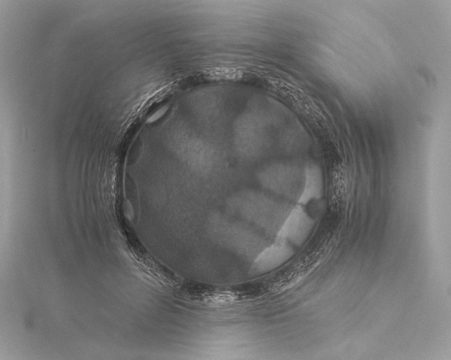 X0000116000600200912031511