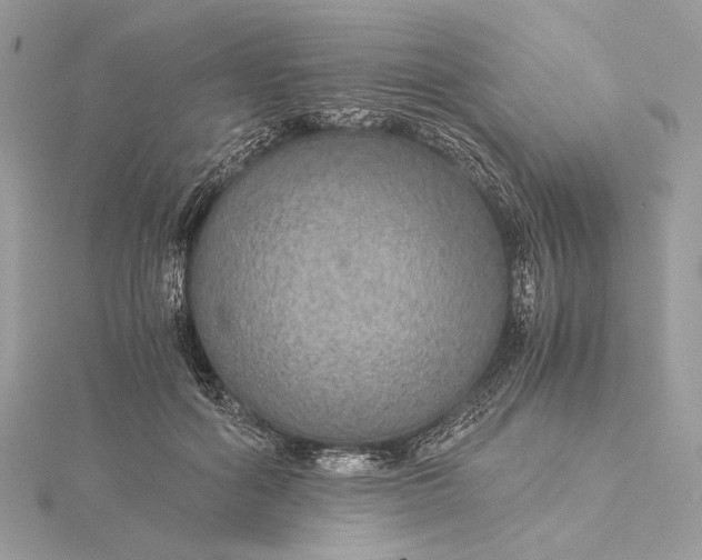 X0000116000602200912031510