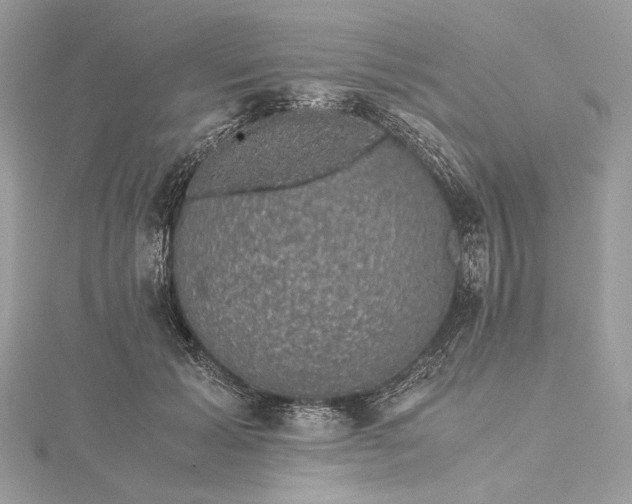 X0000116000605200912031510