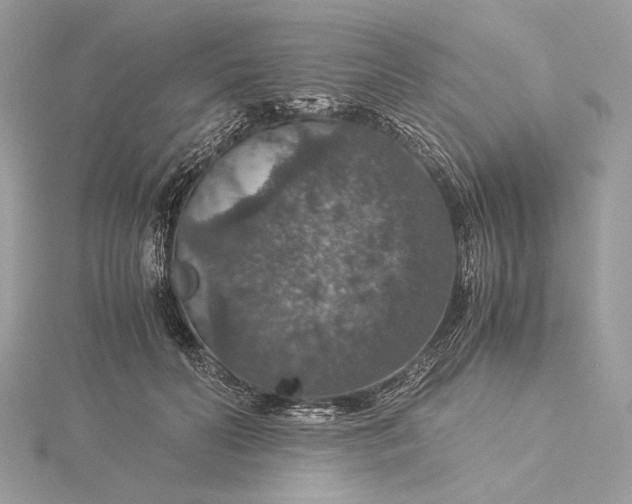 X0000116000606200912031510