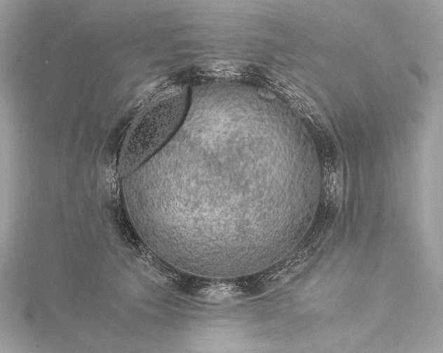 X0000116000609200912031510