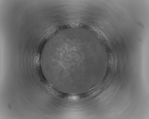 X0000116000610200912031510