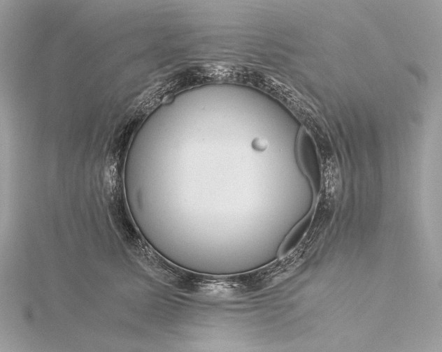 X0000116000611200912031510