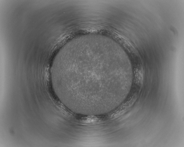 X0000116000612200912031510