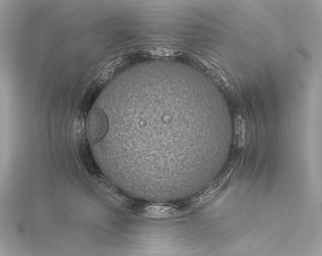 X0000116000614200912031510