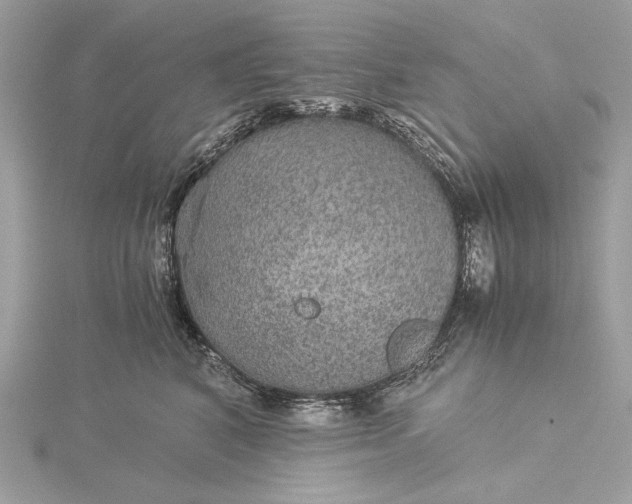 X0000116000616200912031510