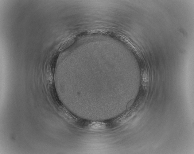 X0000116000617200912031510