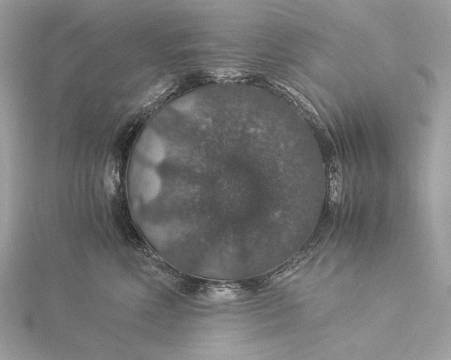 X0000116000618200912031510