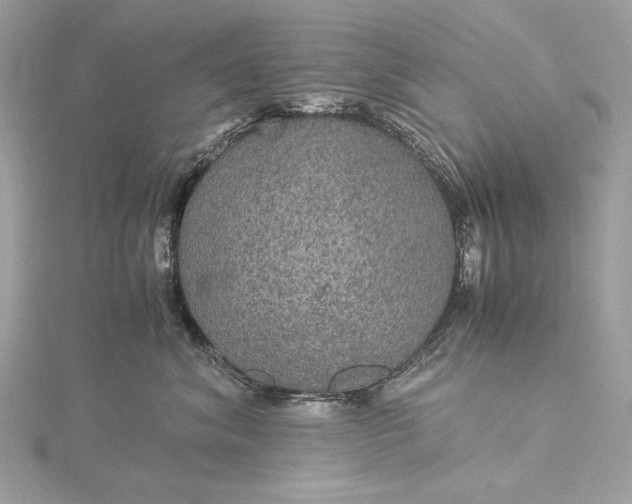 X0000116000620200912031510