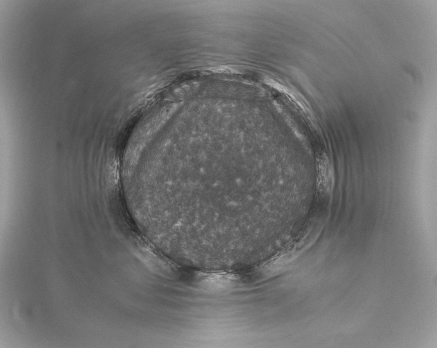 X0000116000621200912031510