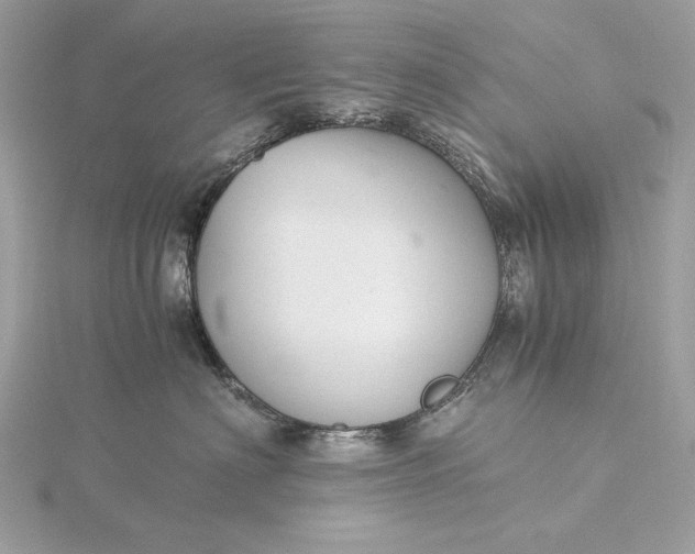 X0000116000622200912031510