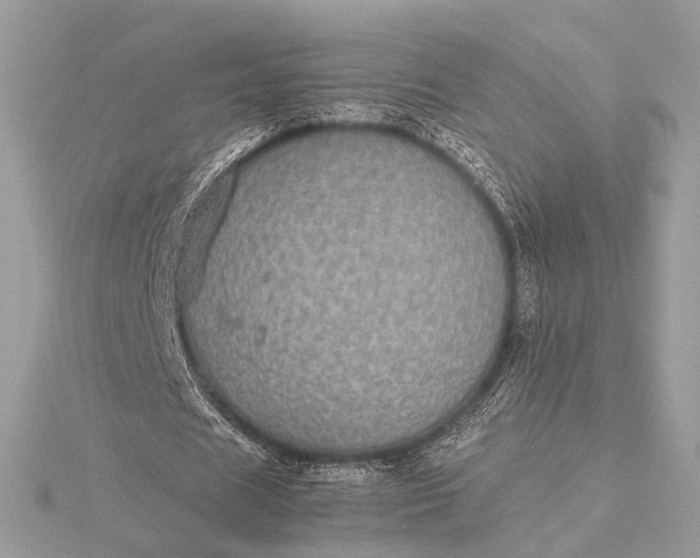 X0000116000625200912031510