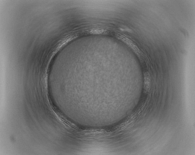 X0000116000626200912031510