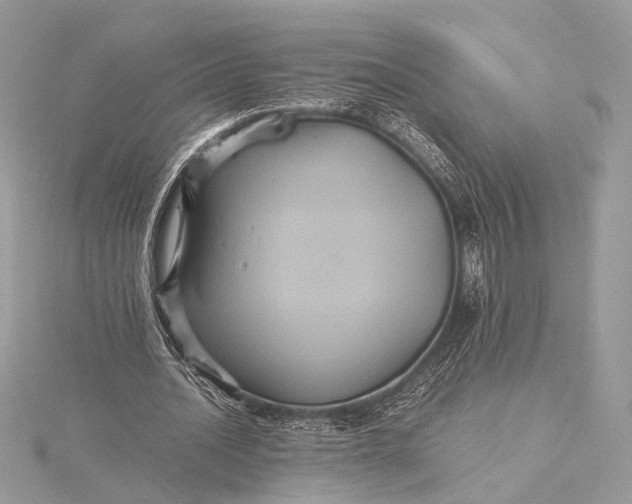 X0000116000628200912031510