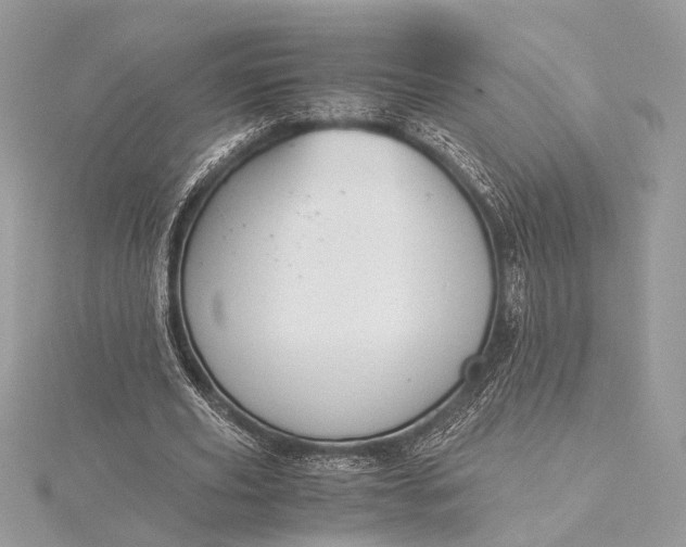 X0000116000629200912031510