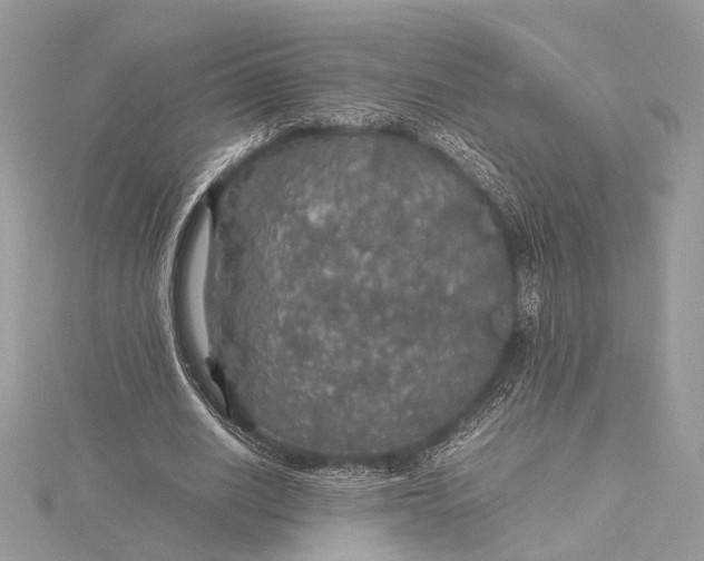 X0000116000630200912031510