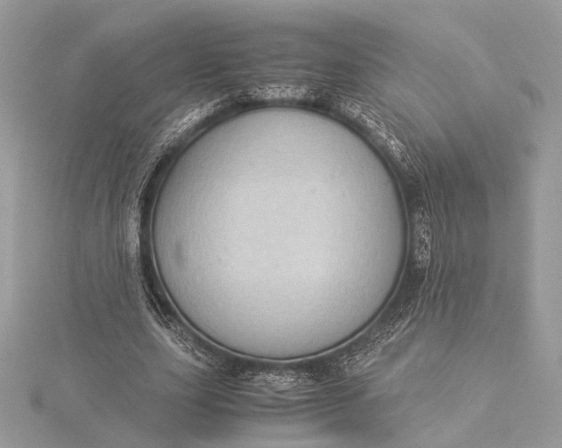 X0000116000631200912031510