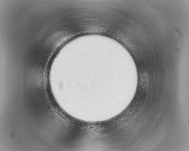 X0000116000632200912031510