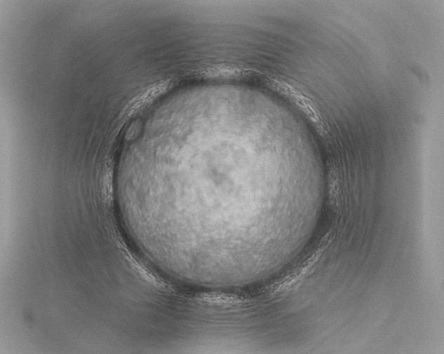 X0000116000633200912031510