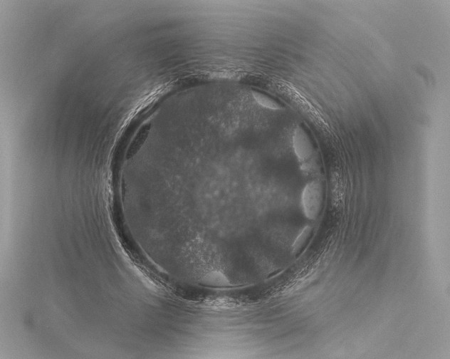 X0000116000634200912031510