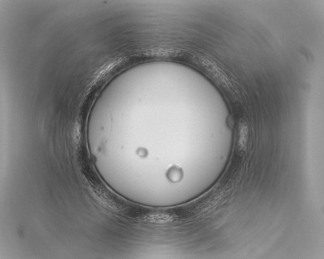 X0000116000636200912031510