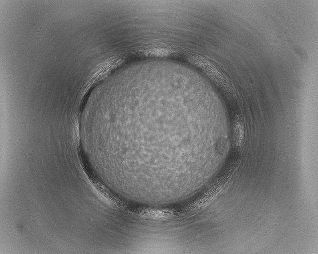 X0000116000638200912031510