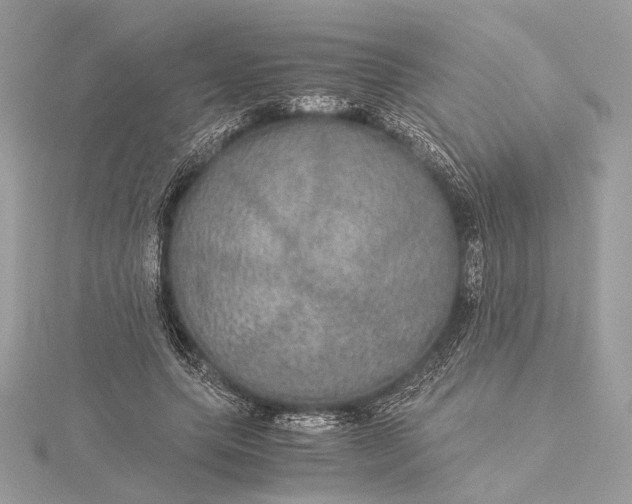 X0000116000639200912031510