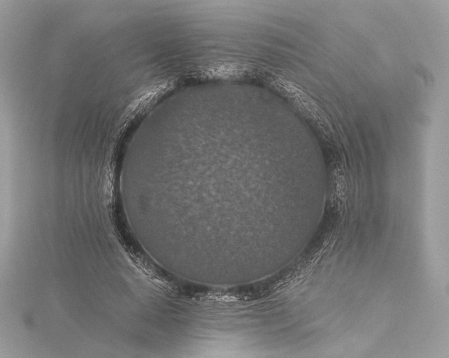 X0000116000640200912031510