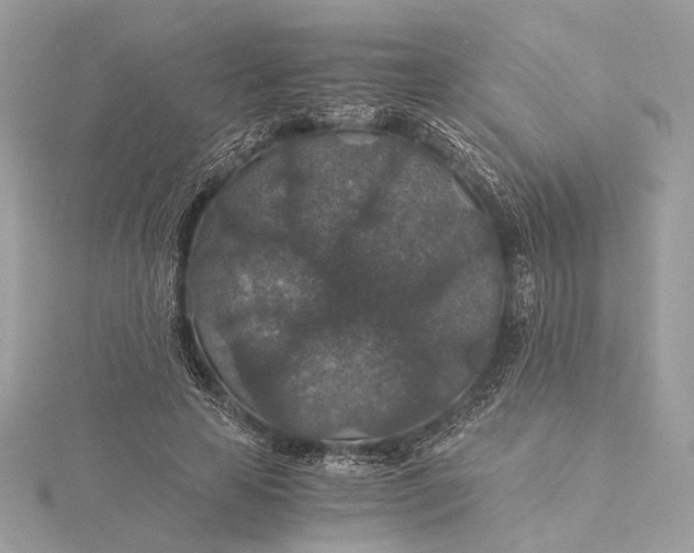 X0000116000641200912031510