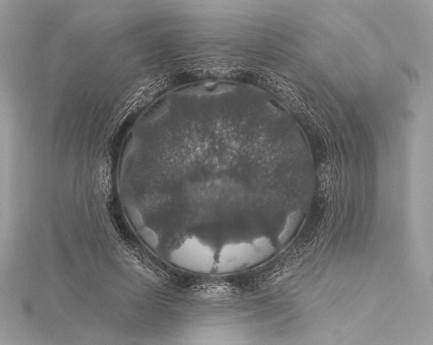 X0000116000642200912031510