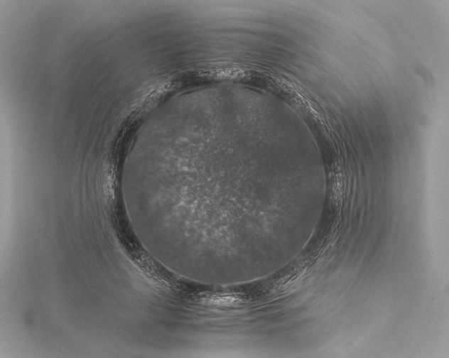 X0000116000643200912031510