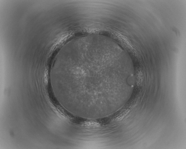 X0000116000644200912031510