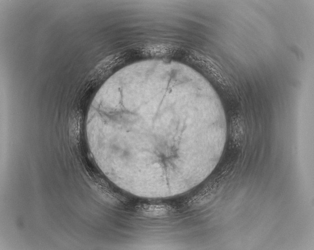 X0000116000645200912031510