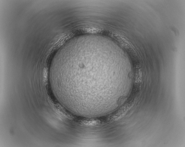 X0000116000646200912031510