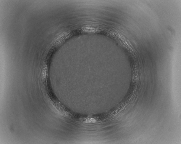 X0000116000647200912031510