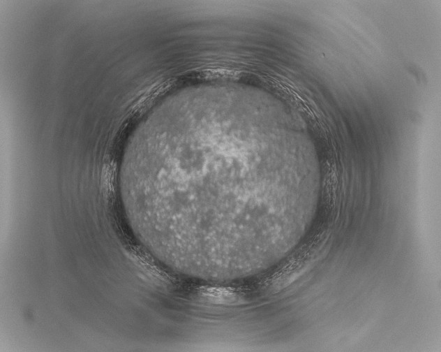 X0000116000649200912031510