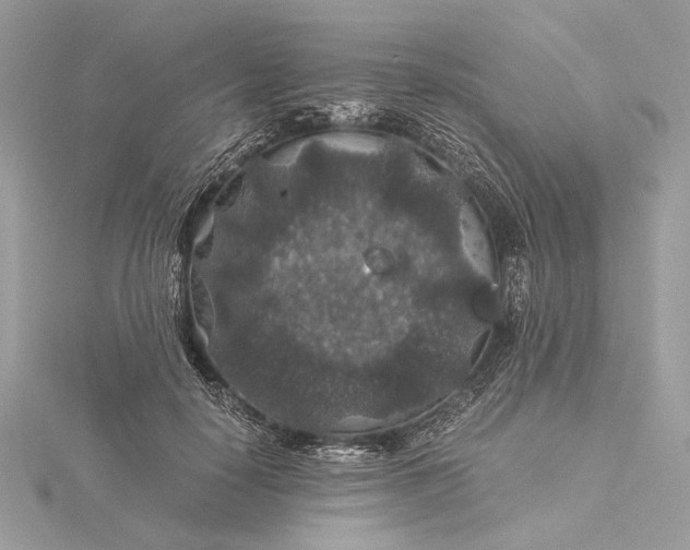 X0000116000650200912031510