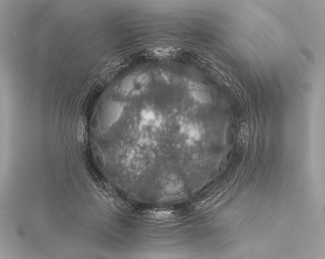 X0000116000651200912031510