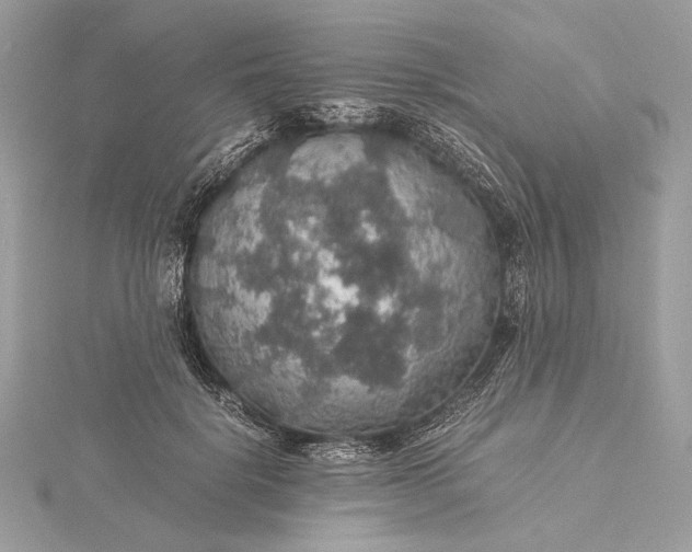 X0000116000652200912031510