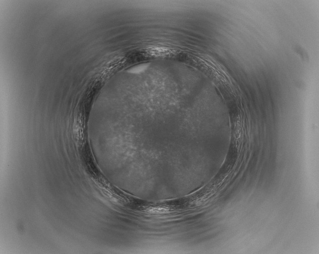 X0000116000653200912031510