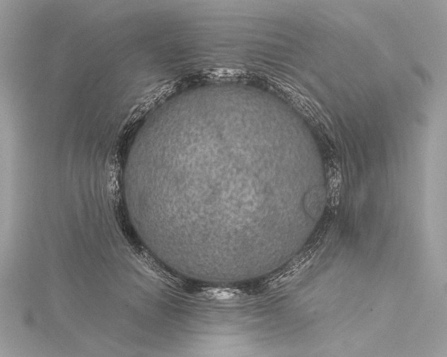 X0000116000654200912031510