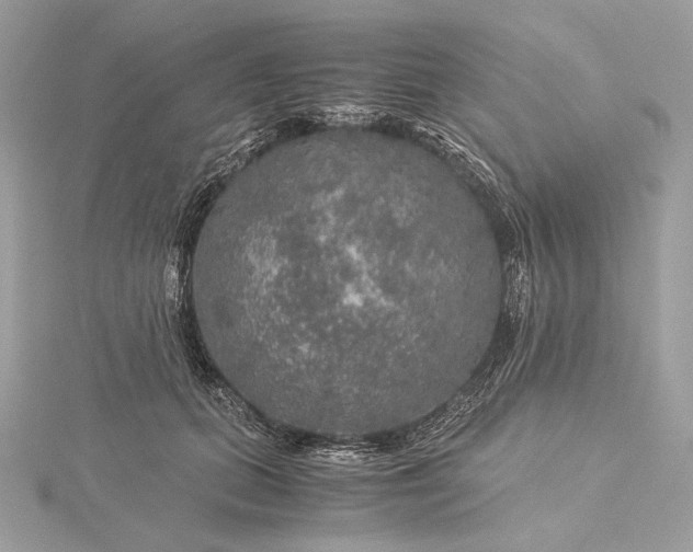 X0000116000655200912031510