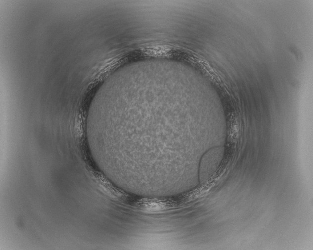 X0000116000658200912031510