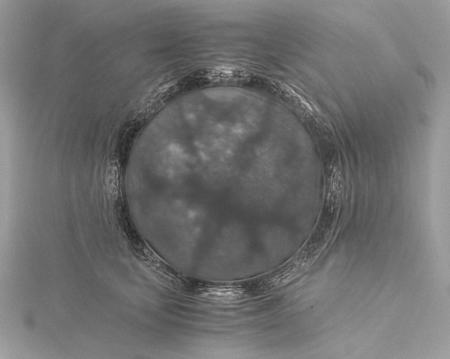 X0000116000659200912031510